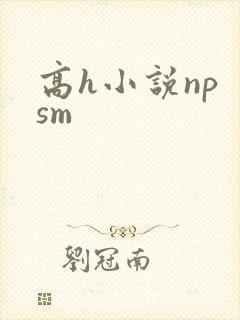 高h小说np sm