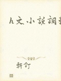 h文小说调教文封面