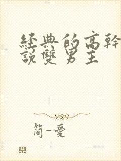 经典的高干文小说双男主