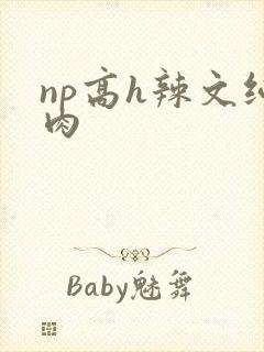 np高h辣文纯肉