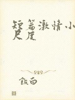 短篇激情小说大尺度封面