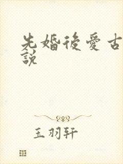 先婚后爱古言小说