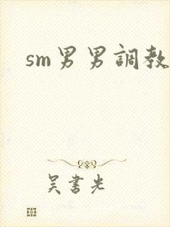 sm男男调教文封面