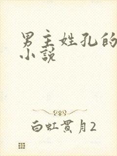 男主姓孔的现代小说封面