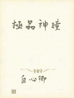 极品神瞳