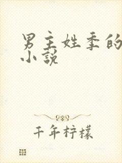 男主姓季的所有小说封面