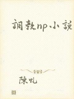 调教np小说h封面
