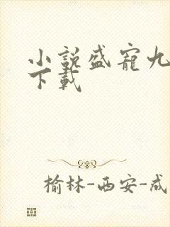 小说盛宠九皇妃下载