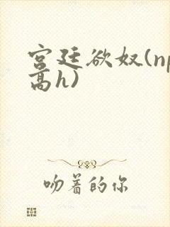 宫廷欲奴(np高h)