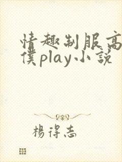 情趣制服高h女仆play小说