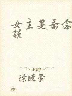 女主是乔念的小说封面