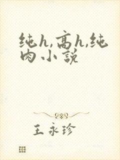 纯h,高h,纯肉小说封面