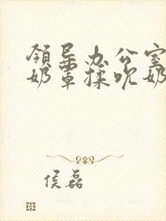 领导办公室扒开奶罩揉吮奶头视频