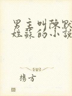 男主叫陈默女主姓苏的小说封面