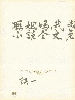 联姻吗,我超甜小说全文免费