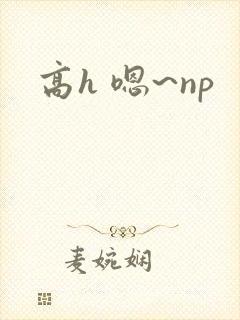 高h 嗯~np