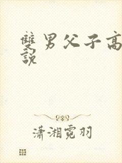 双男父子高h小说