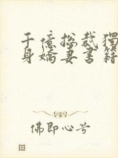 千亿总裁独宠替身娇妻书籍