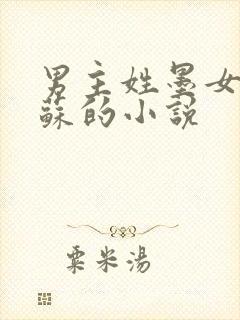 男主姓墨女主姓苏的小说封面