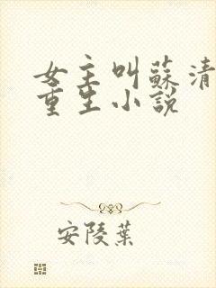 女主叫苏清婉的重生小说