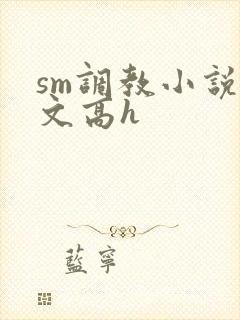 sm调教小说辣文高h