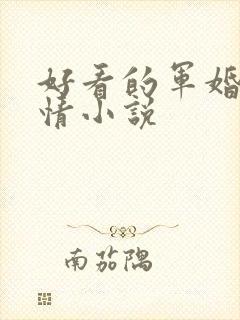 好看的军婚类言情小说封面
