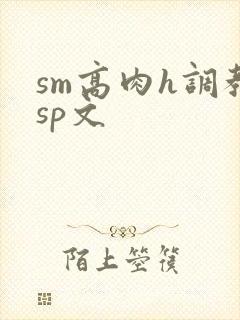 sm高肉h调教sp文