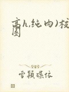 高h,纯肉)校园