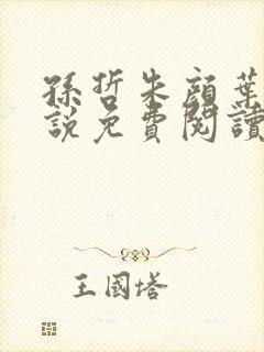 孙哲朱颜叶巧小说免费阅读封面