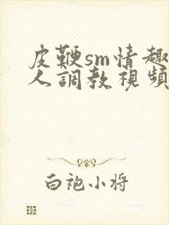 皮鞭sm情趣成人调教视频封面