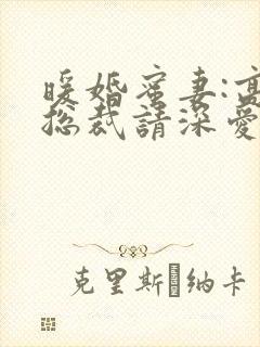 暖婚蜜妻:高冷总裁请深爱封面