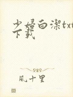 少妇白洁txt下载