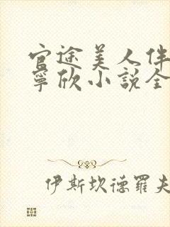 官途美人伴林峰宁欣小说全文阅读