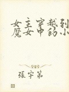 女主穿越到扶她魔女中的小说