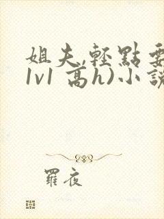 姐夫,轻点要(1v1 高h)小说