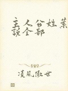 主人公姓叶的小说全部封面