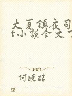 大夏镇夜司txt小说全文下载