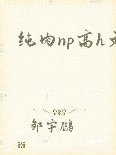 纯肉np高h文