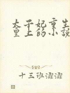 太子妃重生嫁给皇上的小说封面