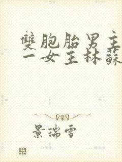 双胞胎男主共享一女主林苏