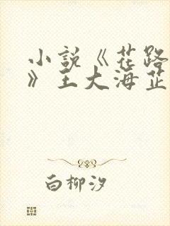 小说《花路璀璨》王大海芷晴在线阅读