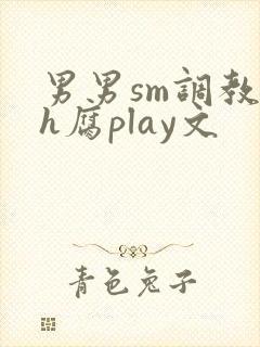 男男sm调教高h腐play文