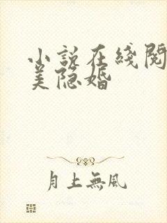 小说在线阅读完美隐婚封面