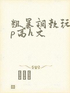 粗暴调教玩弄np高h文