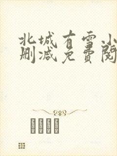 北城有雪小说无删减免费阅读