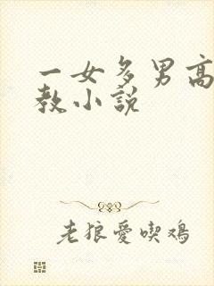 一女多男高h调教小说封面