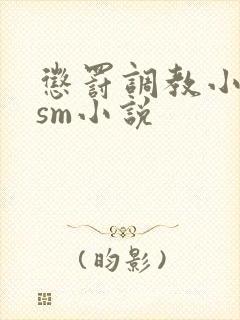 惩罚调教小母狗sm小说