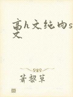 高h文纯肉sm文