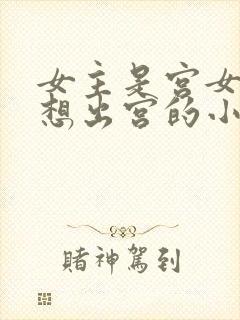 女主是宫女一心想出宫的小说