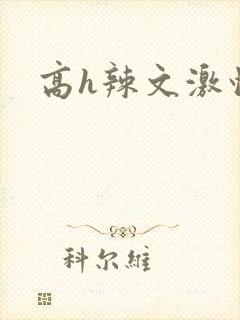 高h辣文激情封面